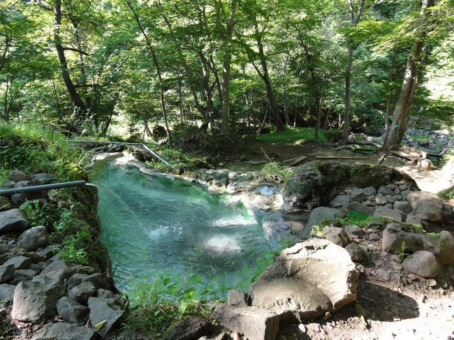 クルーズ後は<br />知床五湖の近くにある<br />岩尾別温泉に行きました。<br /><br />無料なのはいいですが、<br />熱い。普段40〜41度程度の風呂に入っている人は<br />数秒が限界ではないでしょうか。<br /><br />あと、女子はキツイと思います。