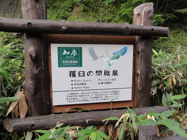 朝一で、昨日行きはぐった<br />羅臼の間欠泉を見に行きます。