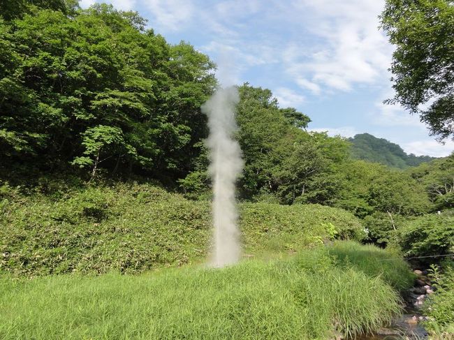 一時、枯れてしまったらしいのですが、<br />いまは30分に一度噴出します。<br /><br />大体8mくらいとのこと。<br /><br />今回は3〜4秒程度でした。