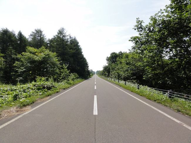 開陽台へ続く道はこんな感じでとても気持ちいいです。<br /><br />スピードの出しすぎには要注意ですよ。