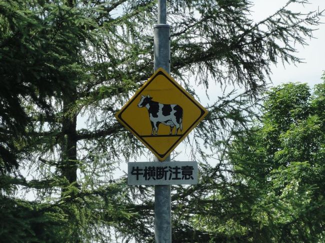 シカバージョンはよく見かけますが、<br />ウシ、しかもみるからにホルスタインバージョンは<br />珍しいかな!?