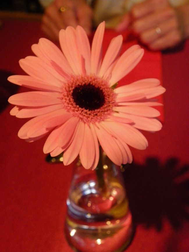 卓上には一輪の可愛い花が置かれていました。