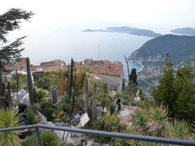 熱帯植物園から地中海を一望