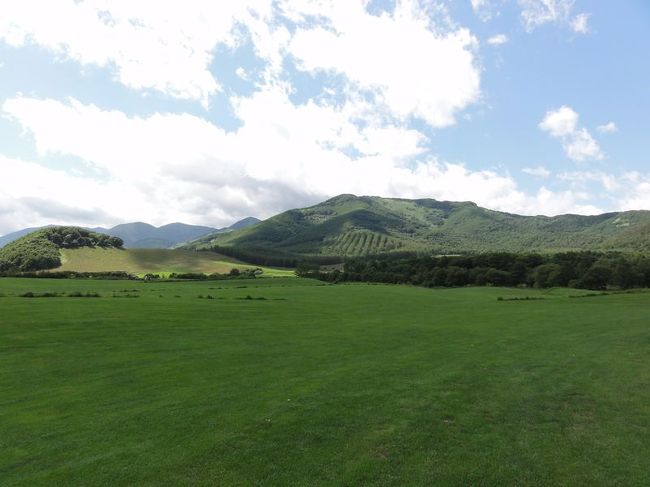 本日のメインイベントと言ってもいいでしょう、十勝千年の森に行ってきました。<br /><br />ここでは……。