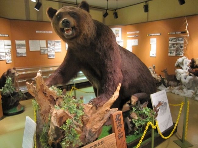 三毛別ヒグマ事件跡地へ行く 10 苫前 小平 羽幌 北海道 の旅行記 ブログ By たじまはるさん フォートラベル 三毛別ヒグマ事件跡地へ行く 10 苫前 小平 羽幌 北海道 の旅行記 ブログ By たじまはるさん フォートラベル