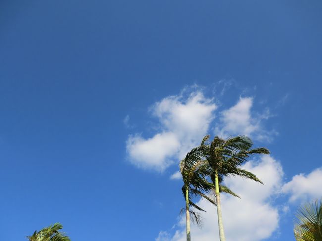 ＜第四日目＞<br /><br />この日はホテルのプールでマッタリしました。