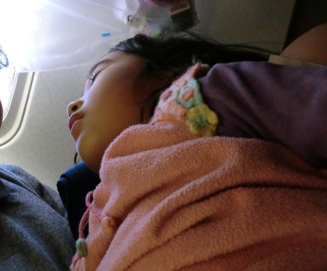 機中の人。<br /><br />のんびり旅行とはいえ、やはり子供も疲れたんですね。<br /><br />この後地元では、雪が積もり、帰路が大変でした。