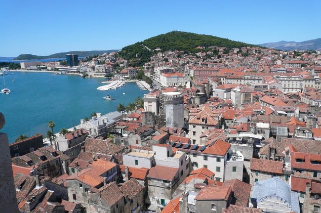 鐘楼からの眺め