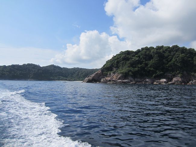 海中の写真がなくて申し訳ないですが、タートルベイで初めて海がめに遭遇しました。ガイドが言っていた海がめがいるポイントに真っ先に泳いで向かったのですがその途中で海がめに追い越されましたｗｗ亀はすばやかったー。