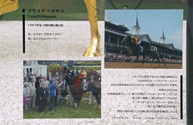 夏の家族旅行第2弾 北海道ルスツリゾートへの旅 その①-ディープインパクトを見に社台スタリオン・ステーション見学(結局会えず…)&ノーザンホースパーク&洞爺湖サイロ展望台編-