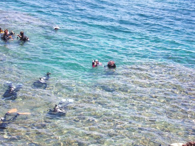 でもその代わりものすごい透明度の良い海で、た〜くさんの熱帯魚を見ることが出来ます。