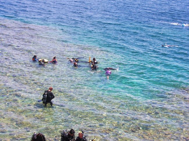 結局楽しくて３時間もスノーケルしてしまいました(*^。^*)