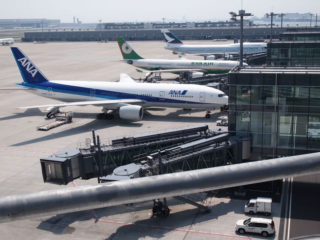 飛行機君たちも夏休みで大忙し。