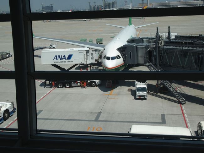 そしてこの飛行機が今回台湾に連れて行ってくれる飛行機。<br />今回もEVAAIRを利用しました。