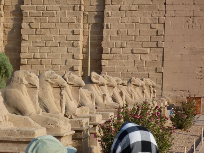 カルナック神殿前にならぶ<br />羊のスフィンクス像達