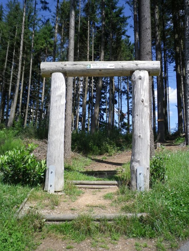 所々に鳥居のような木の門が…