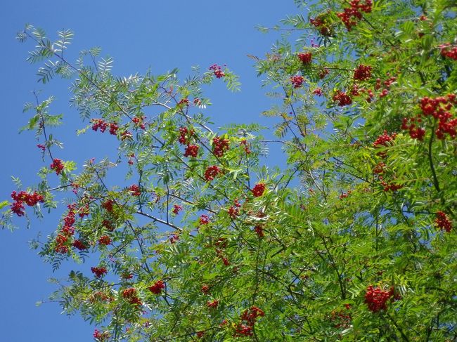青い空。<br /><br />久々に見るなぁ…