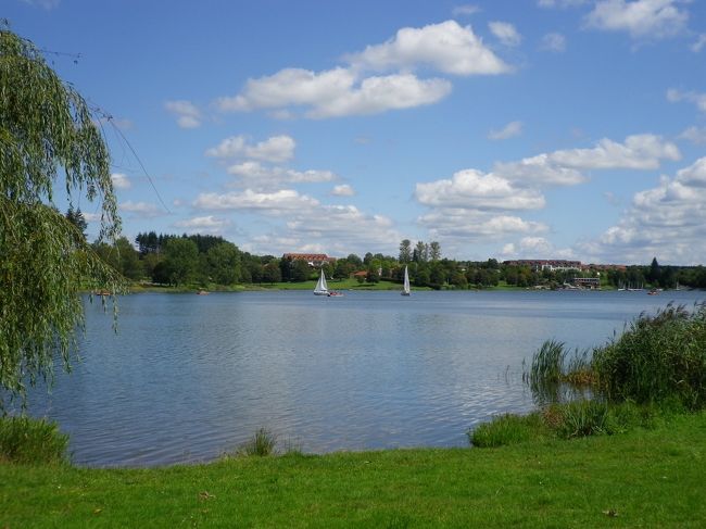 暖かい日差しと連日の寝不足で睡魔に襲われる…