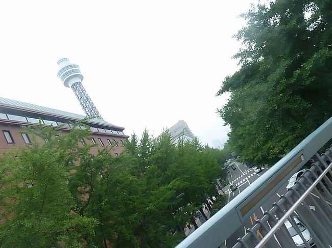 車出来たので山下公園の駐車場に停めました。<br />ここは大きくて安い方なので停めるにはおすすめです。