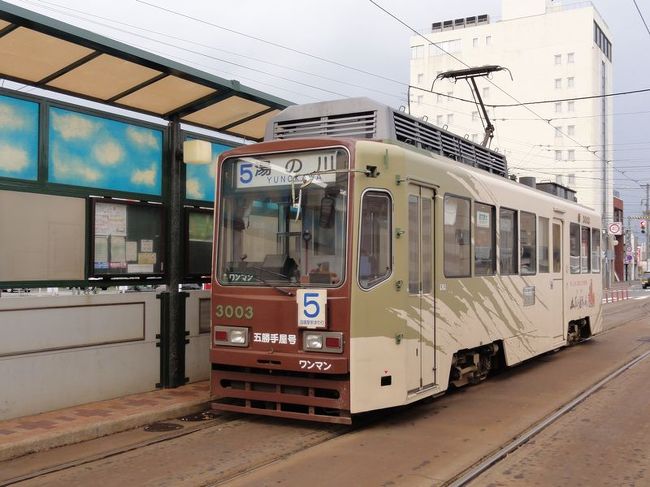 函館は市電という路面電車が大活躍しています。
