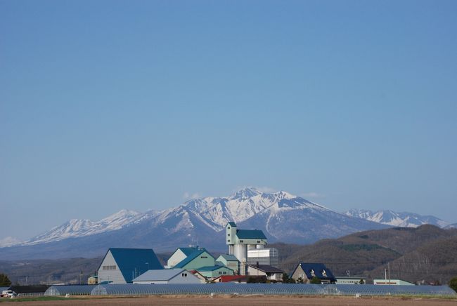ここからの景色も綺麗