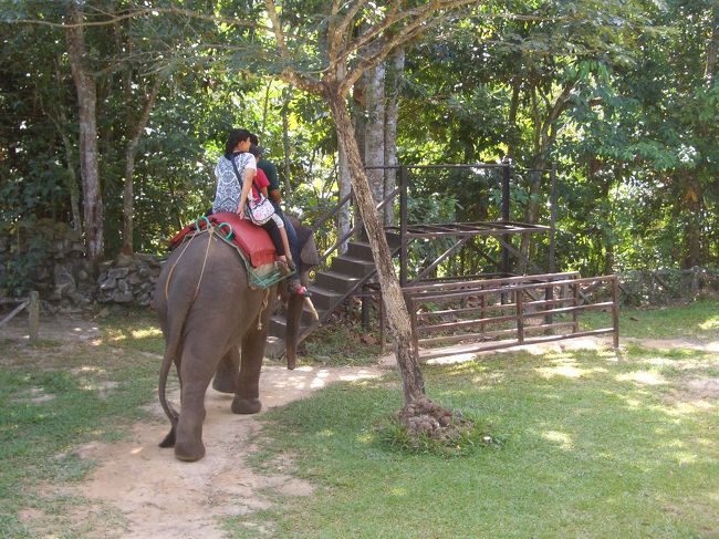 　その後、ロッカウイワイルドライフパークへ。<br />象に乗ったり・・・