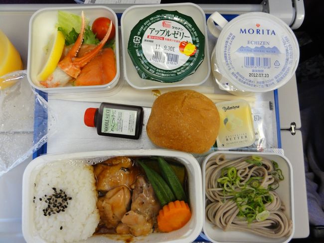 機内食のチキン。<br /><br />和風の照り焼きチキンで甘くておいしかったです。