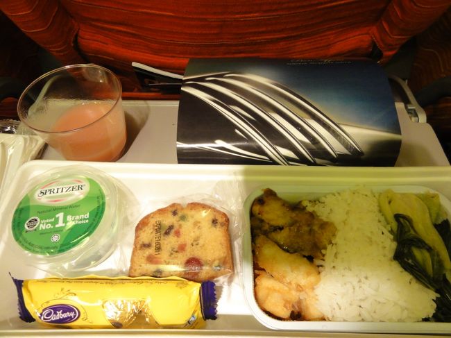 機内食に魚です。こちらも食べることができる味です。<br />しかし海外に慣れていない家族は既に厳しそう・・・<br />あまり辛くないです。