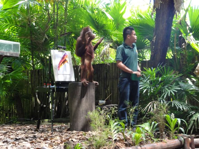 オラウータン可愛すぎます。