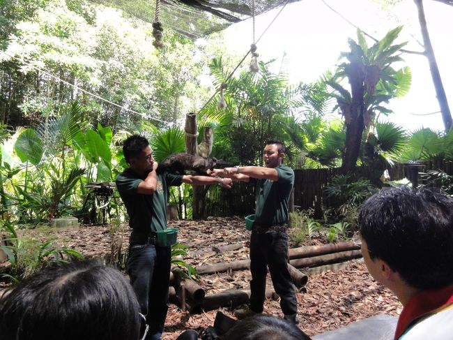 イタチみたいな動物が餌が人のどちらの手に入っているかあてています。