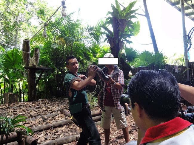 大きな蛇登場。<br />観光客数人が恐くて避難していました。かわいいのに。<br /><br />蛇のコーナーでは日本人中学生のシンノスケ君が挑戦！