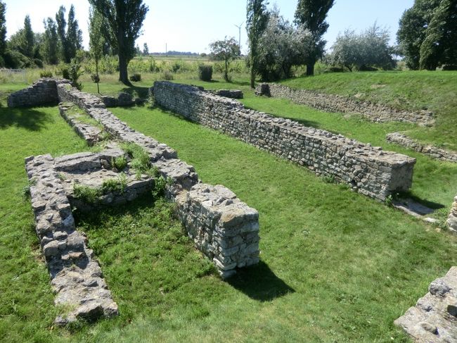 此処にはライオンなどの猛獣が・・・