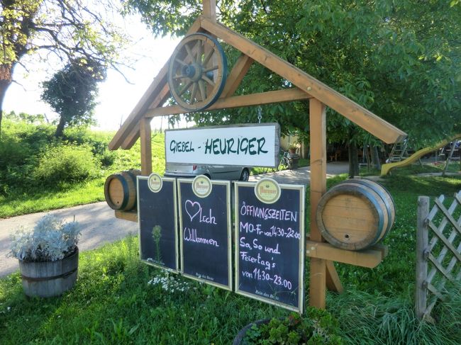 ワイナリー到着