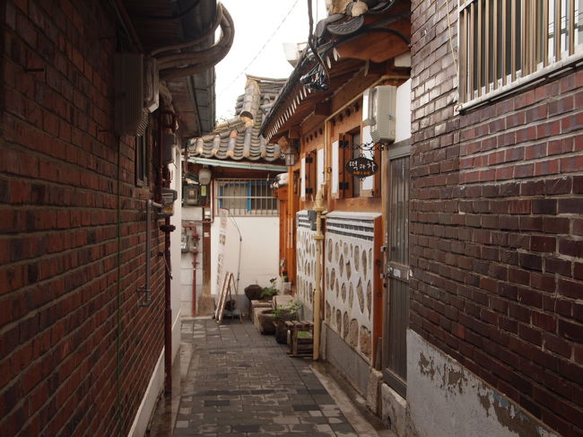 伝統茶が飲める所もあるみたい。