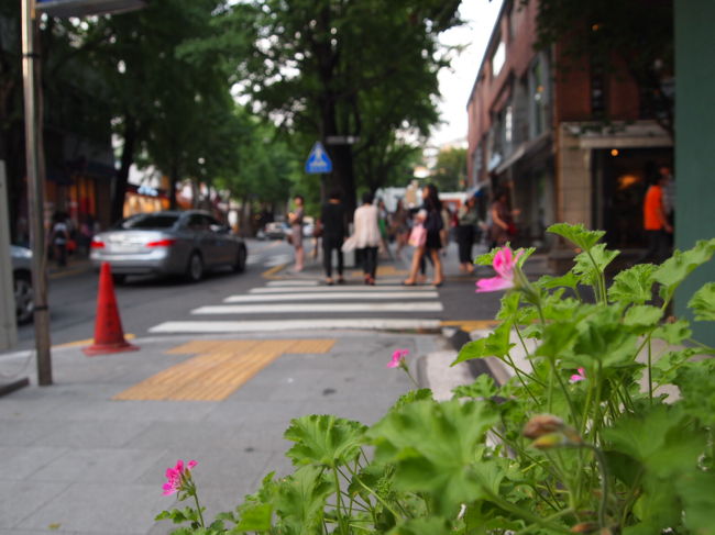 化粧品屋さんやコンビニなんかも少ないけれど･･･。<br />私はこの街がお気に入りです。<br />ここへ初めて来たときもオンちゃんと一緒でした。