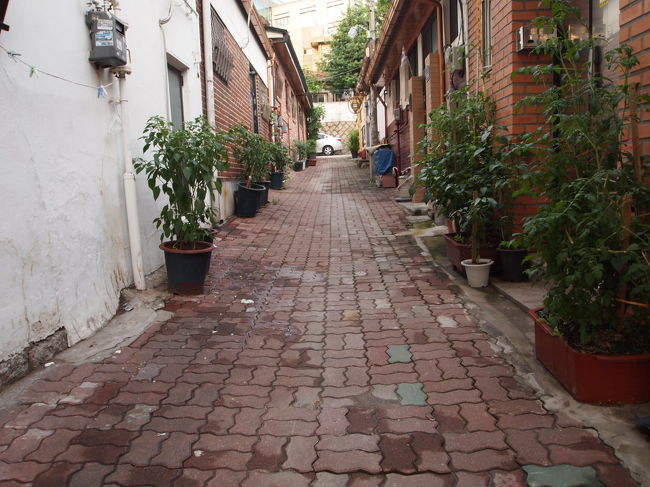 こういう路地も好き♪