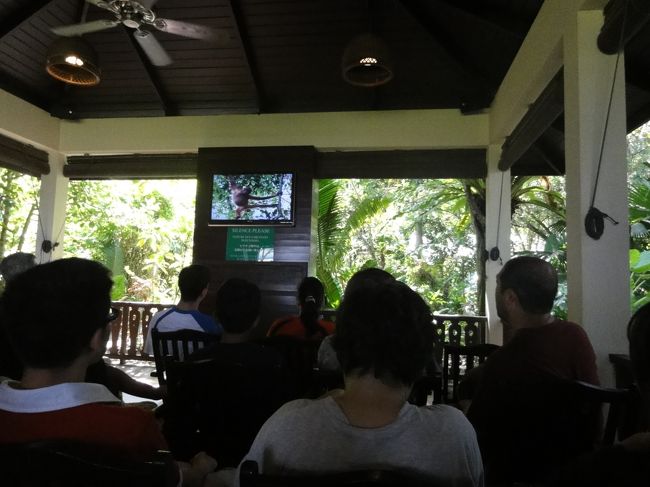 ホテル内の保護区でオラウータンを見ます。<br />予約をして参加です。<br /><br />まずテレビでお勉強。