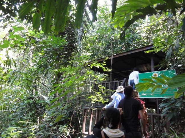 ここからつり橋を順番に渡ります。