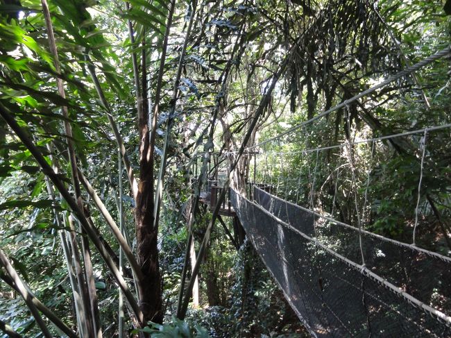 こんな橋なので人数制限をしながら渡ります。<br />まずは軽い日本人からか分かりませんが私たち家族が先陣。