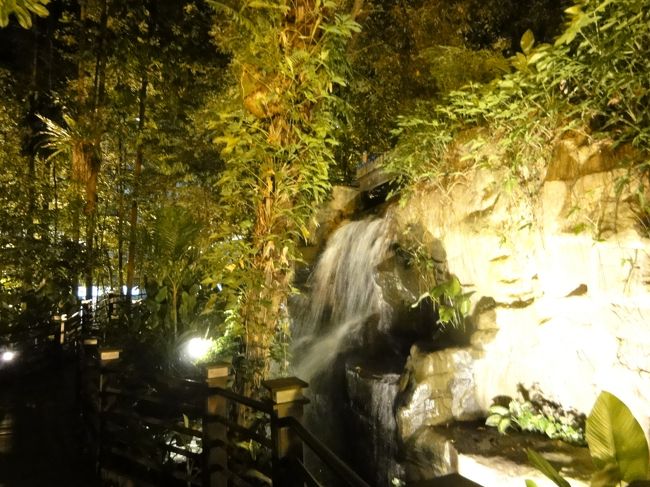 中心部はこのようになっています。