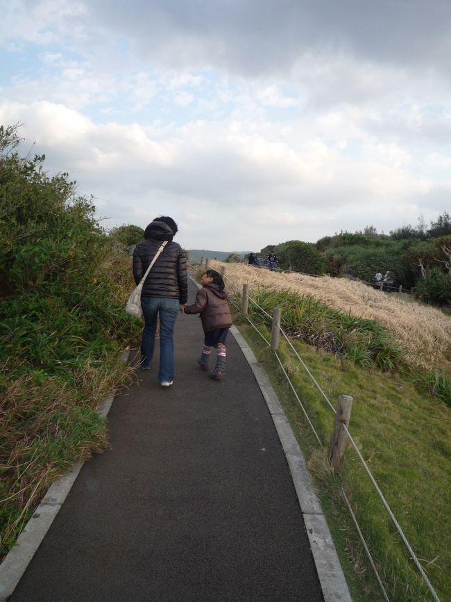 冷たい風、帰りには雨も降ってきて、大変でした。