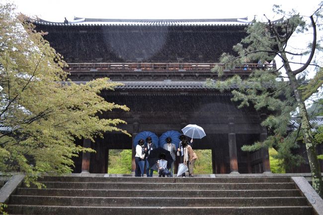 そして庭園が美しい南禅寺です<br />新緑の時期だとお花はそれほどないかな<br /><br />そして、お寺の中に水路閣が外れにあります<br />ここだけ異文化が香ります
