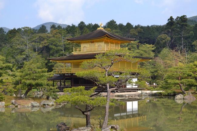 こんなに金色だったんですね<br />池に映る姿も美しいです<br /><br />でも、周りの自然にも溶け込んでいるし、不思議ですね