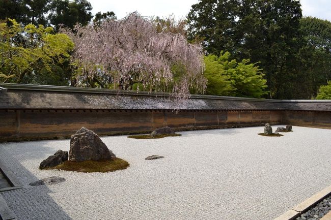 そして、石庭で有名な龍安寺<br />見る角度によって石の数がほんとうに違って見えるんです<br />昔の人は色んな知恵をもってます
