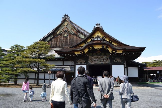 旅の締めは駅近の二条城となりました