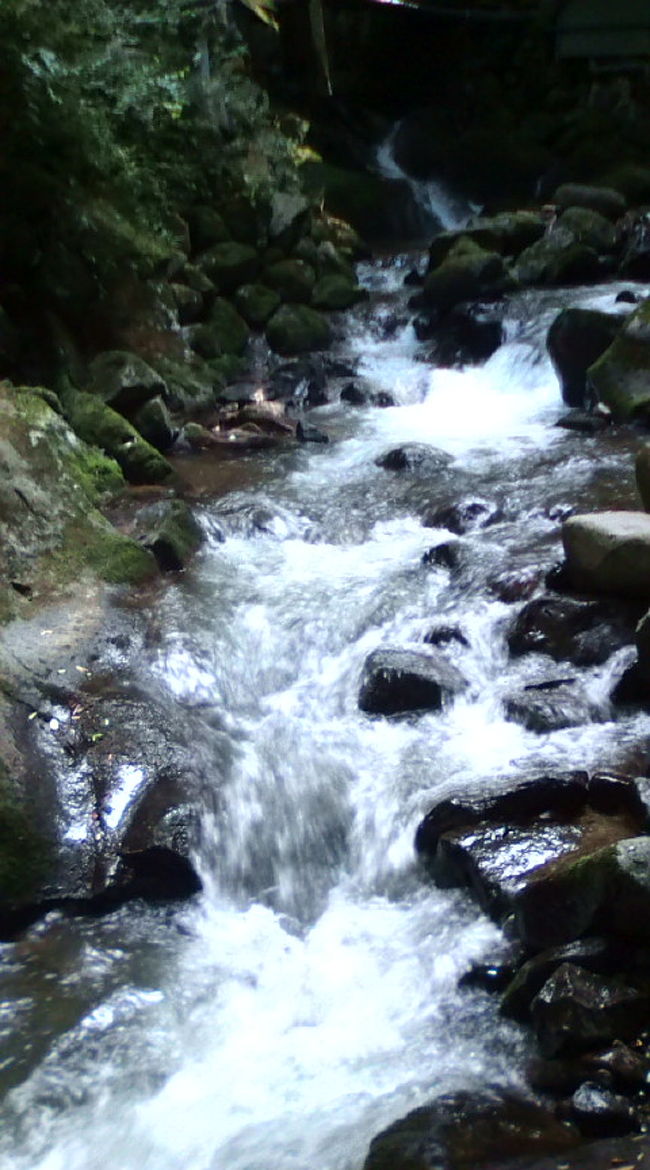 早めのチェックインの後、近くの万葉公園へ。<br />小さな渓流がありました。<br />この日は猛暑日でしたが、木陰で水の流れを見ていると<br />涼しくなれました☆