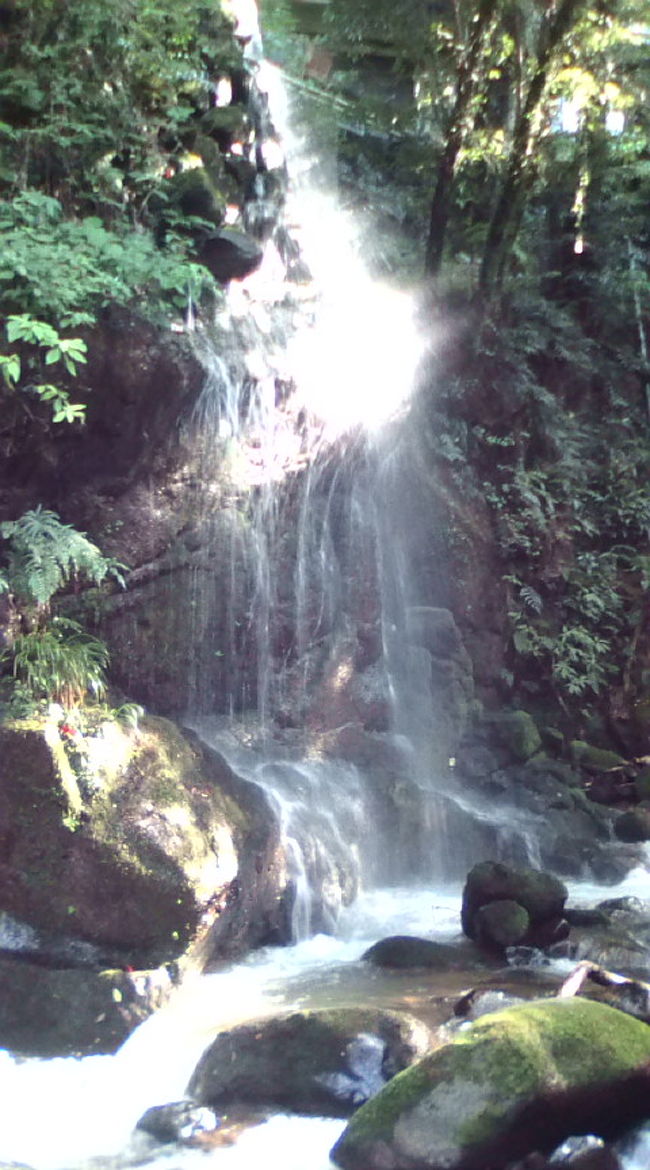 写真で見るとりっぱですが<br />ミニミニの滝です☆<br />でも十分涼しくなれました。<br />本格的な滝を見に行くのもいいけど<br />の〜んびりしたい私にとっては<br />お散歩でいける、こじんまりした万葉公園は<br />気楽に楽しめました☆<br />