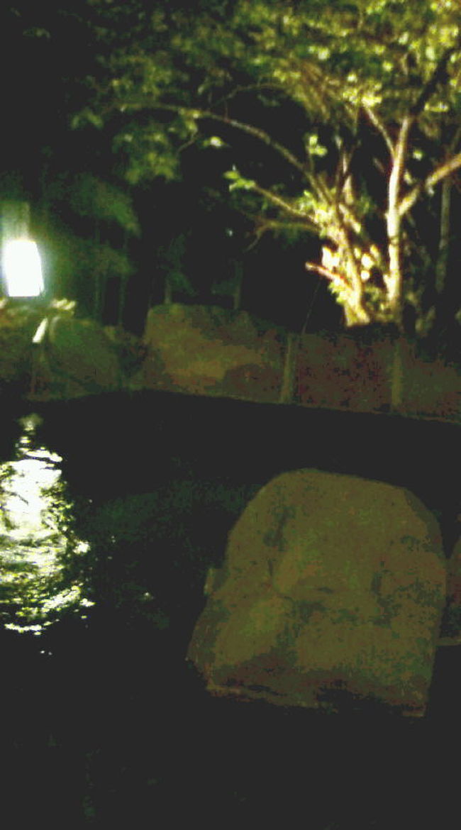 そして、このプランには４０分の貸切風呂が付いてたので<br />露天風呂を一人で満喫。。。<br /><br />湯河原温泉のお湯がいいのか、ここの源泉のお湯がいいのか、<br />私は温泉には詳しくないですが、今までの経験の中でも<br />とってもいいお湯だ！！とお肌で感じました。<br />また入りに来たいな〜<br /><br />