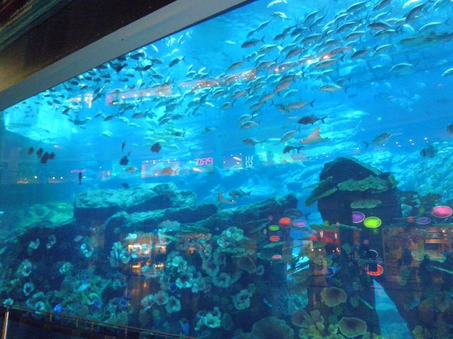 水族館もあります。