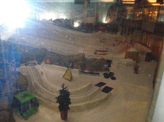 場所は異なりますが、実はこれスキー場です。何でもドバイ流ですね。